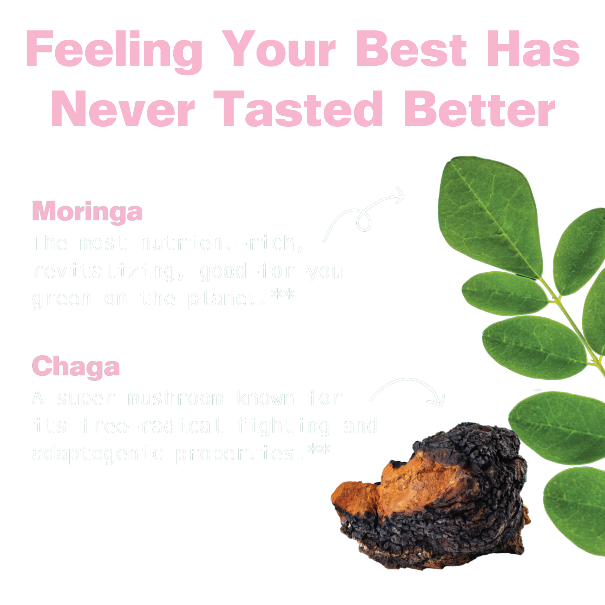 Moringa & Chaga Mushroom Superfood Gummies