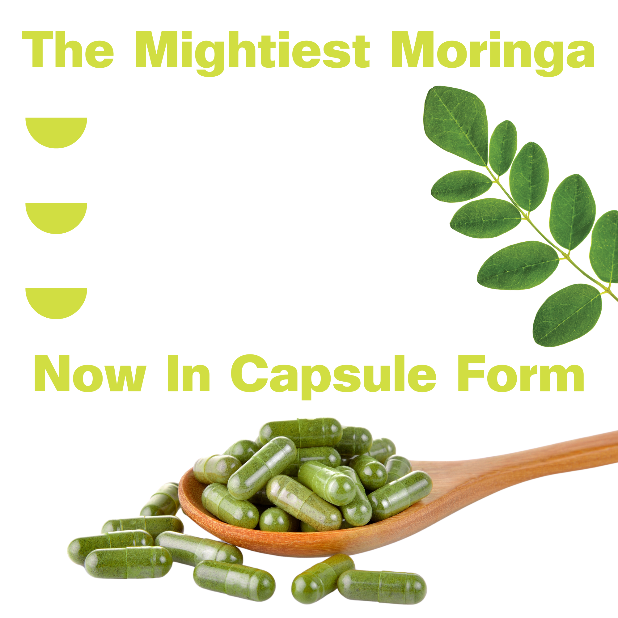 Organic Pure Moringa Powder Capsules (60-Count)