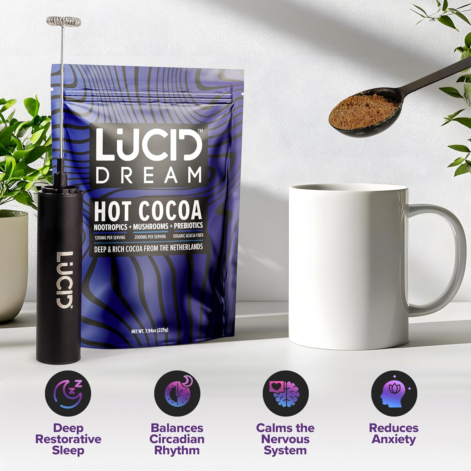 Dream Nootropic+Mushroom Cocoa