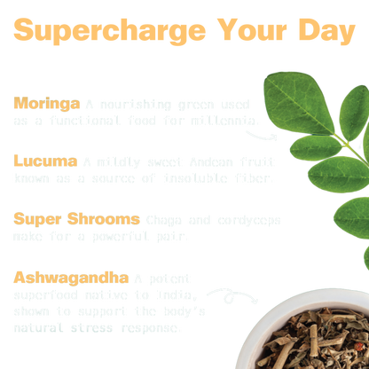 Organic Superfood Energy Shake - Chocolate Peanut Butter