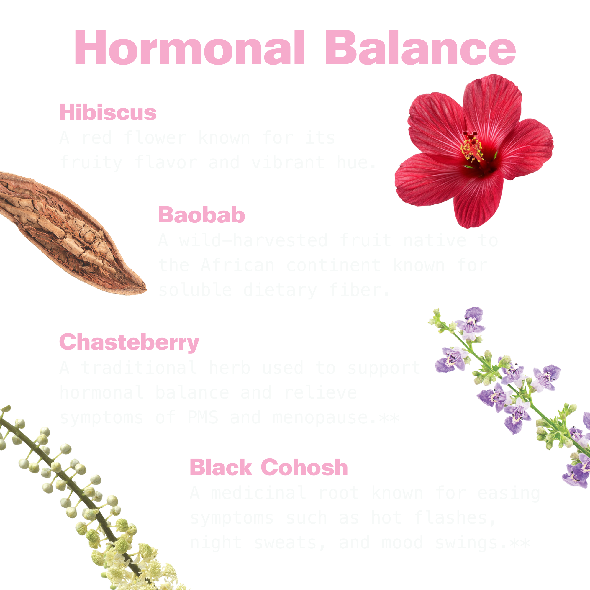 Her Power Superfood Drink Mix