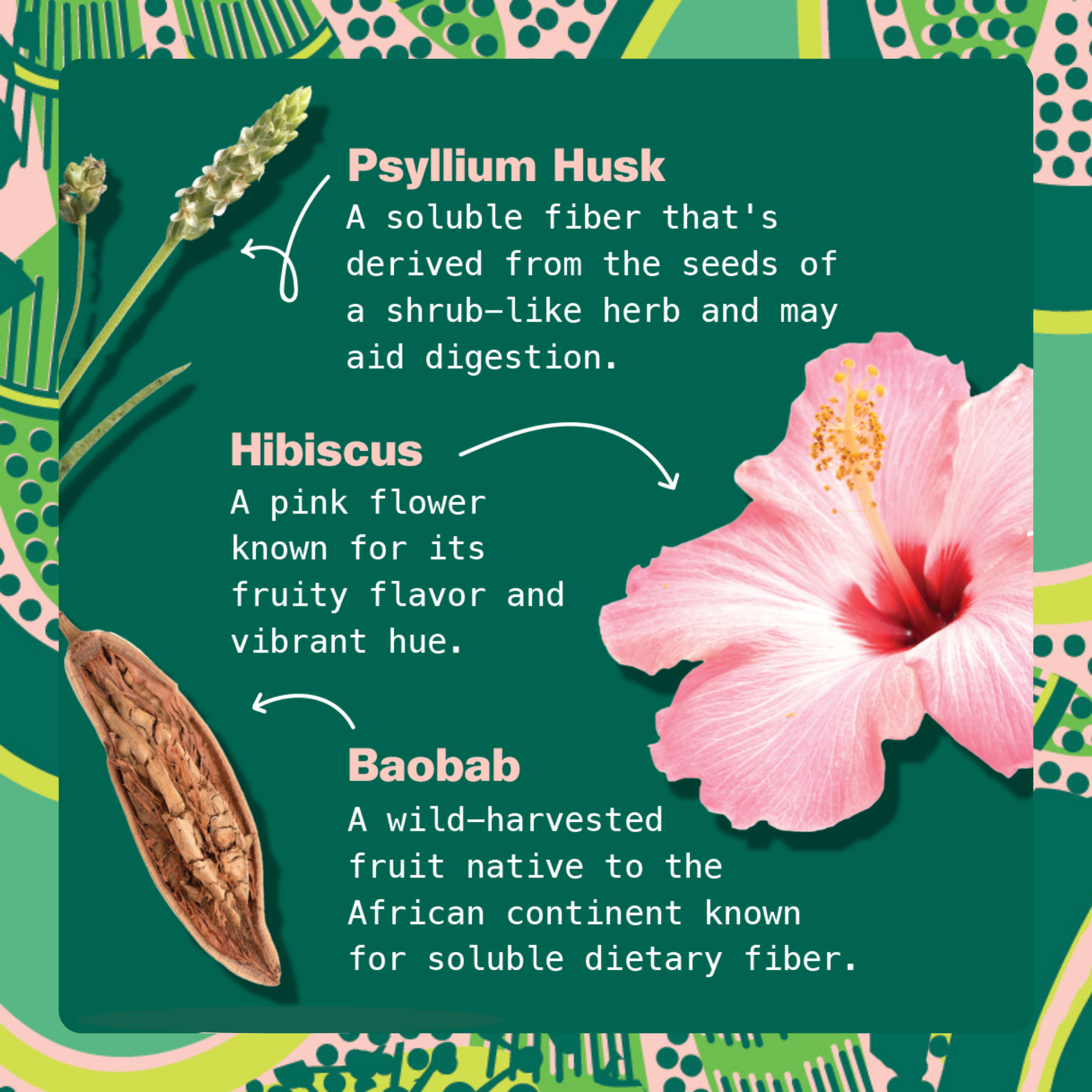 Hibiscus Berry Superfood Latte