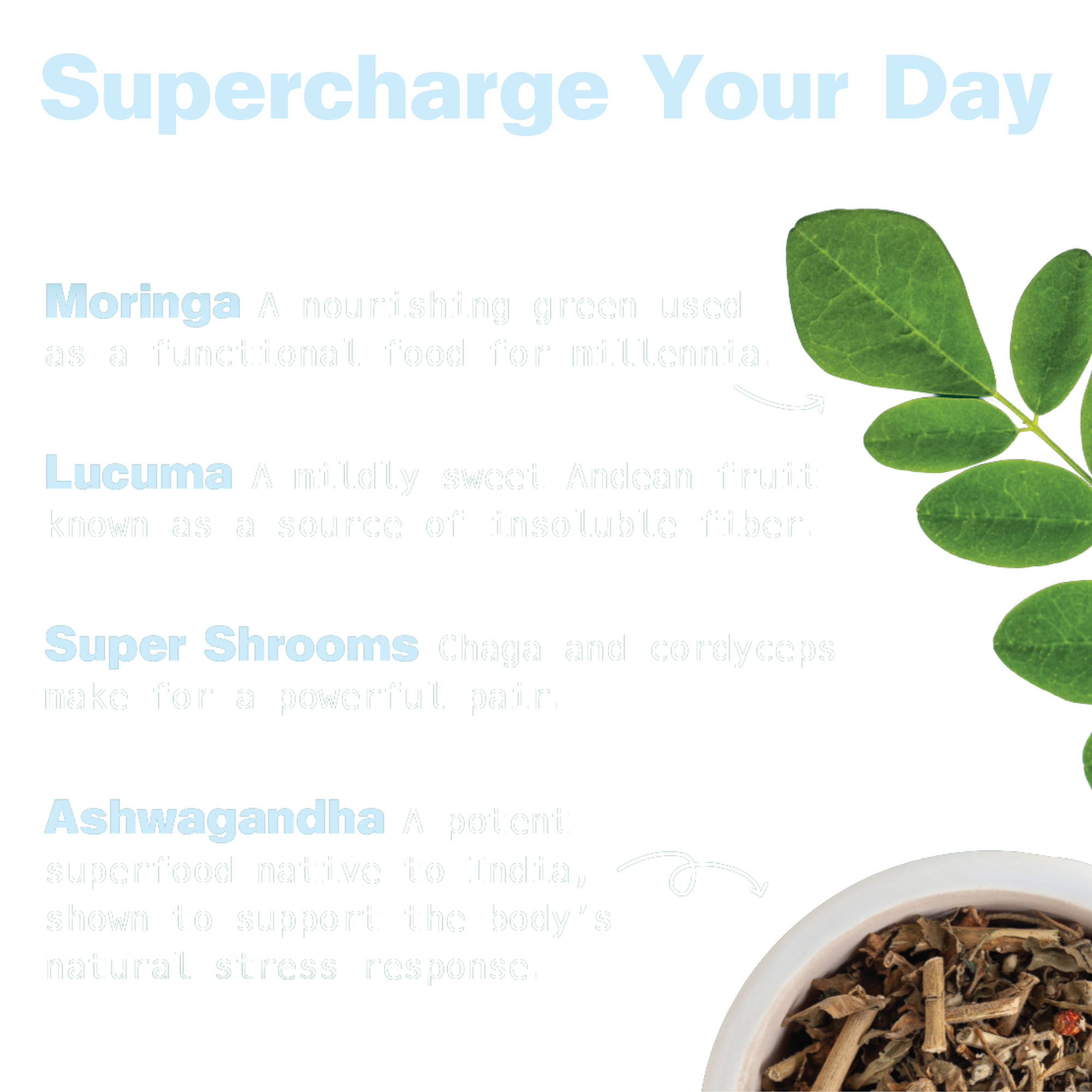 Organic Superfood Energy Shake - Vanilla