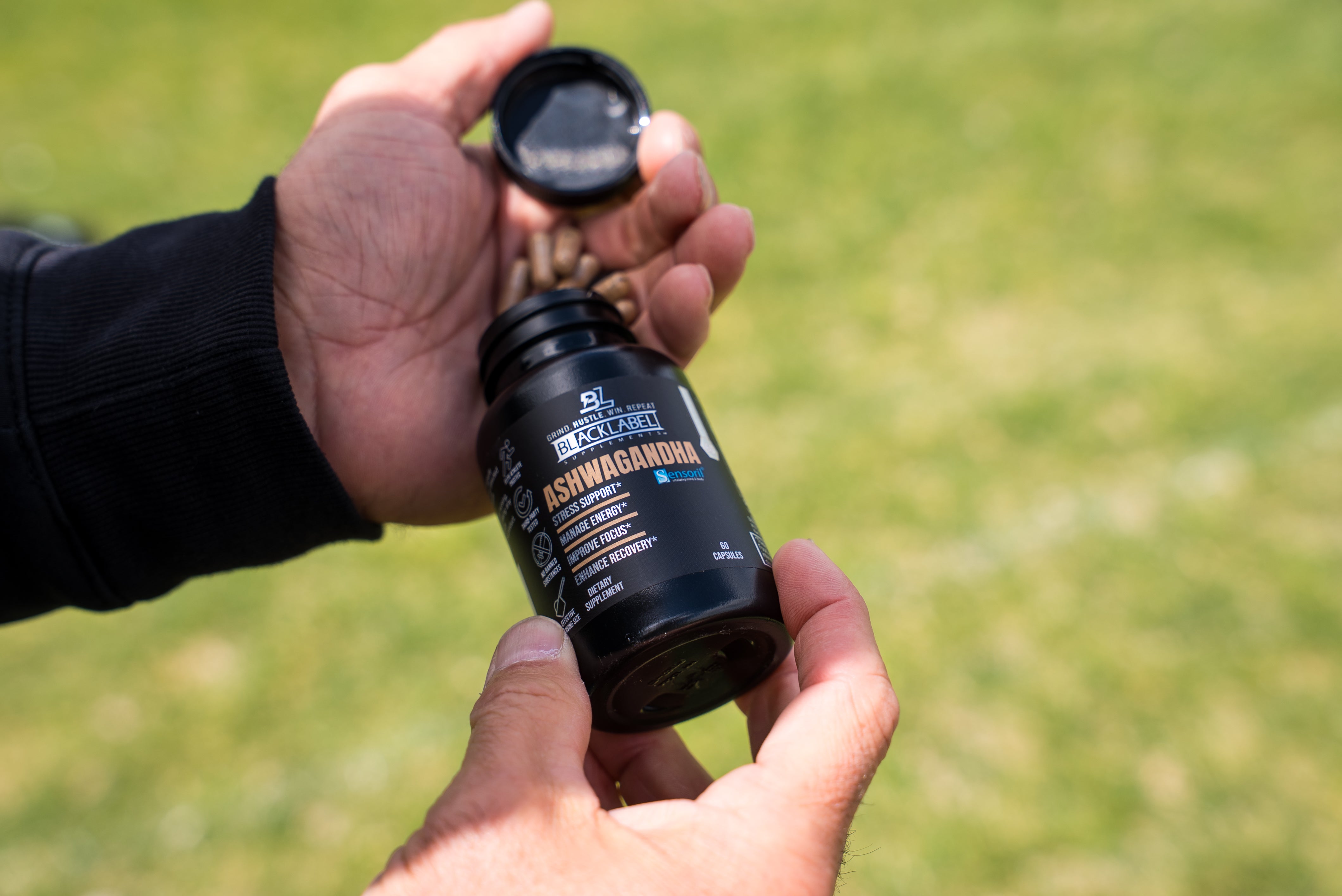 SENSORIL® ASHWAGANDHA